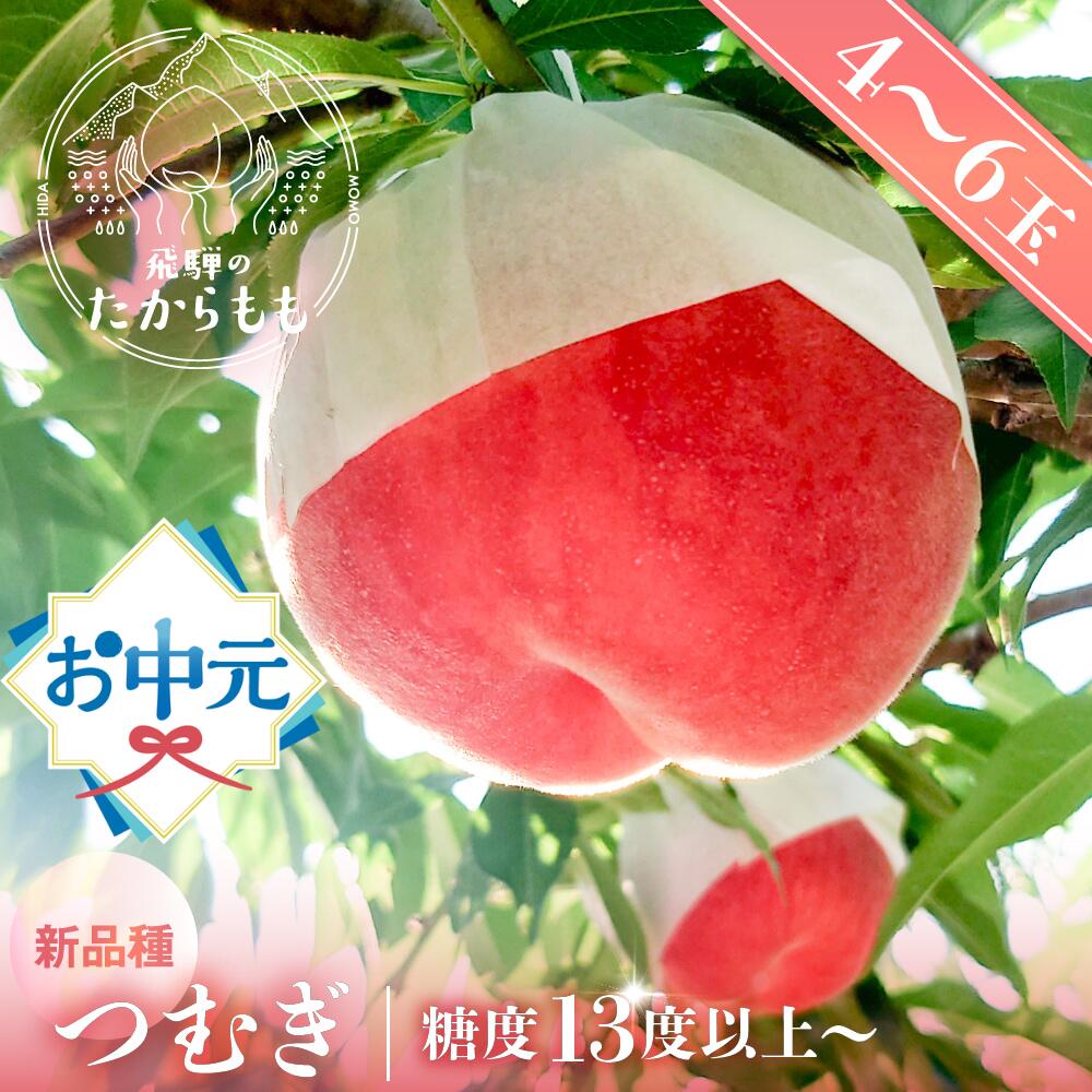 楽天市場】飛騨桃【予約承り中 8月上旬より発送】飛騨高山で育っ
