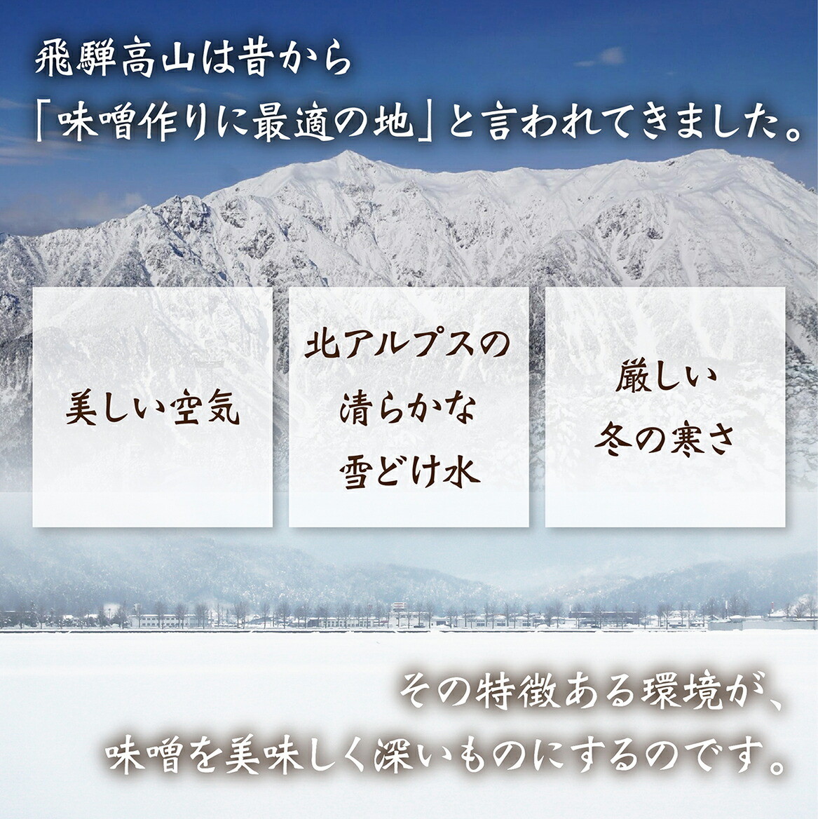 朴葉味噌 ほうば味噌 240g ご当地グルメ 2枚 郷土料理 お試し 1パック 無添加 米みそ 朴葉 2~3人前 木桶仕込み お土産