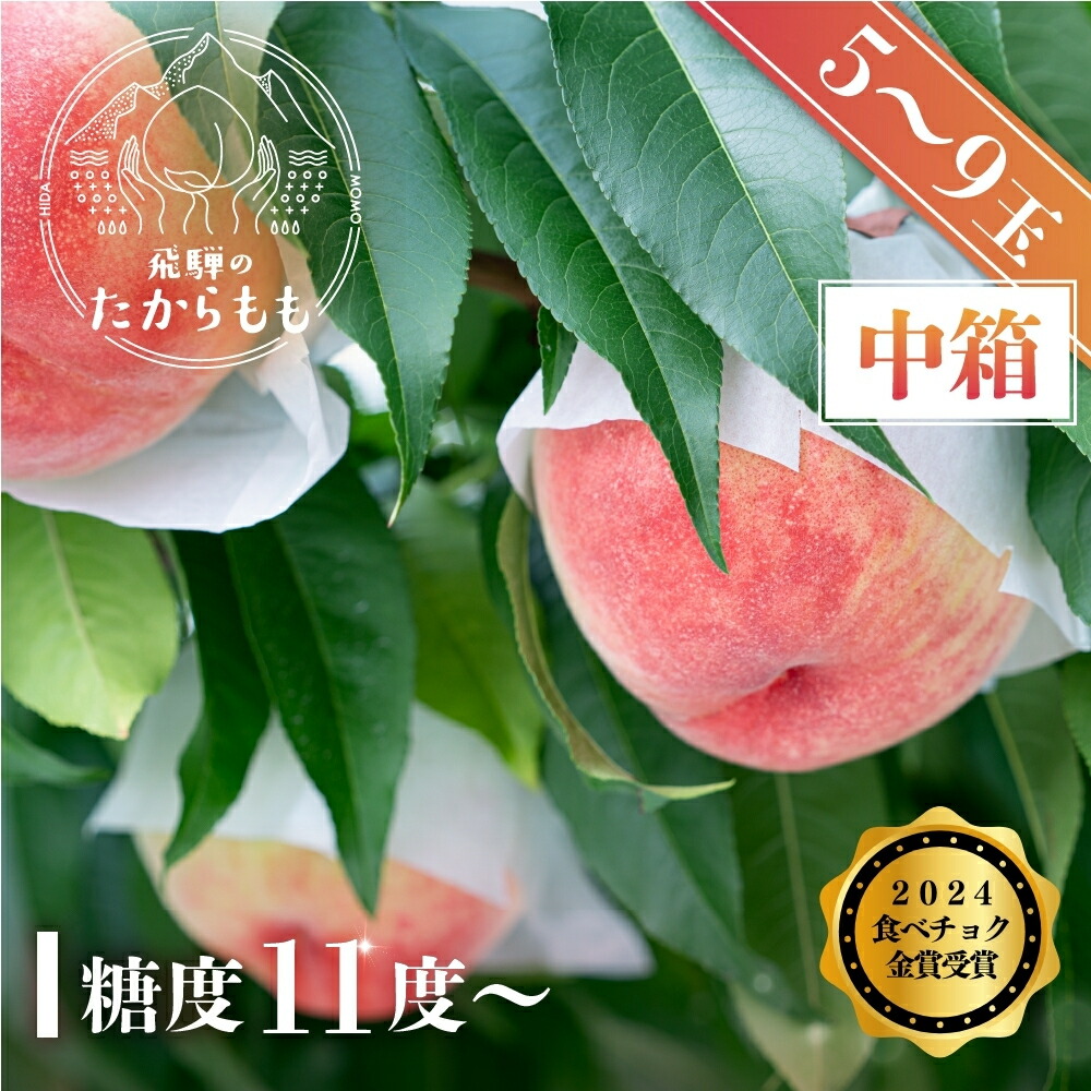 桃 飛騨のたから桃 糖度11度以上 5－9玉 朝採れ 白桃 もも モモ 夏ギフト 自宅用 でも 品種お任せ ( 日川白鳳 みさか白鳳 白鳳 あかつき 昭和白桃 川中島白桃 ) つむぎ果樹園 高級　特秀