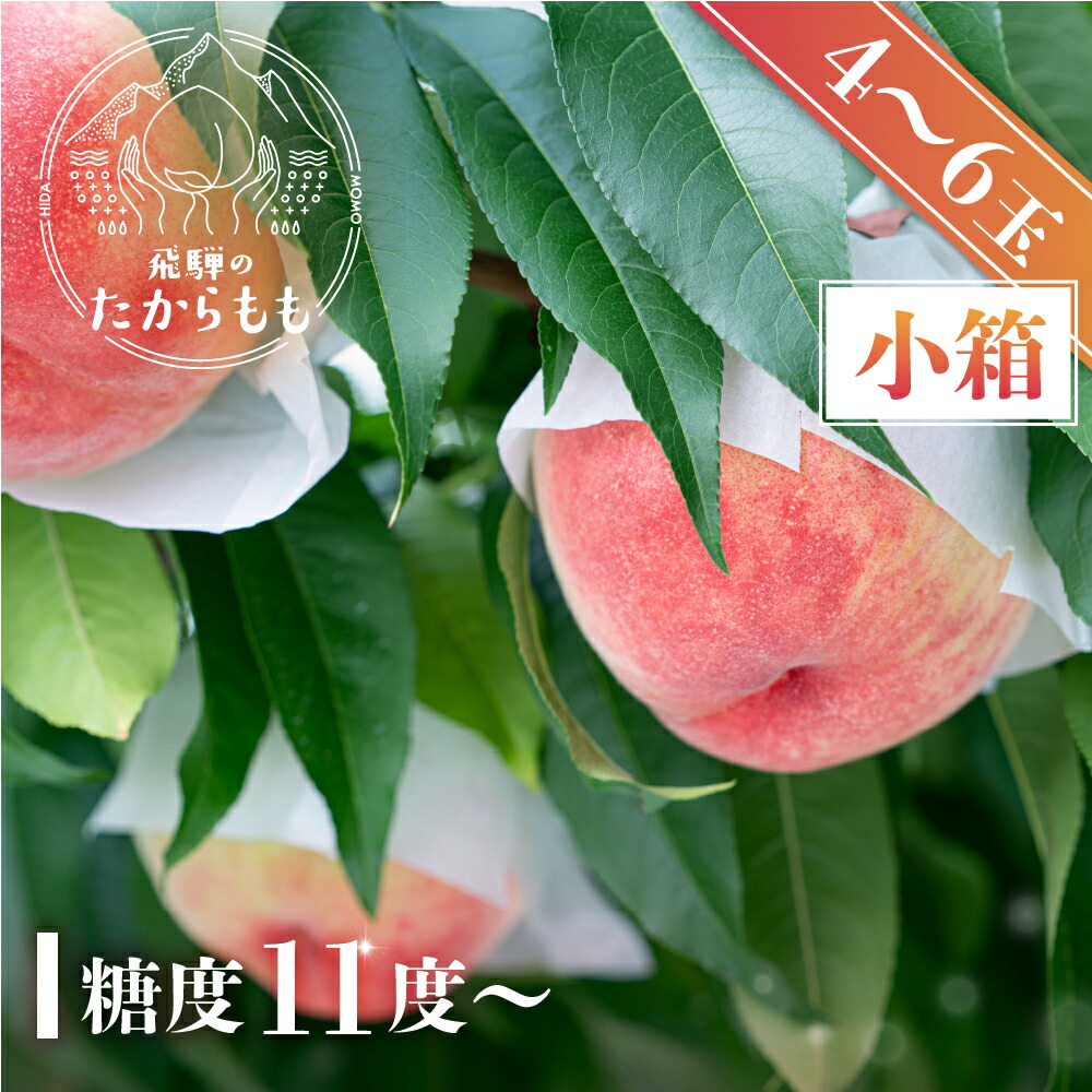 【食べチョク 金賞受賞農家】糖度11度以上 4－6玉 小箱 桃 贈答用 最高級 甘い 柔らかい 品種 飛騨のたから桃 朝採れ 白桃 もも モモ 夏ギフト 自宅用 でも 品種お任せ ( 日川白鳳 みさか白鳳 白鳳 あかつき 昭和白桃 川中島白桃 ) つむぎ果樹園 高級　特秀