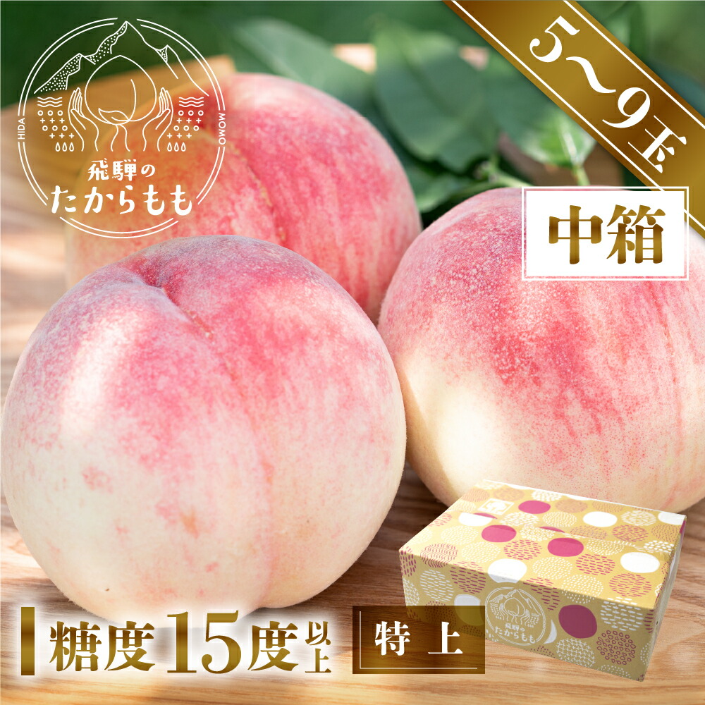 【食べチョク 金賞受賞農家】お糖度15度以上 5－9玉 桃 贈答用 最高級 甘い 柔らかい 品種 特上 朝採れ 飛騨のたから桃 白桃 甘くてジューシーな モモ 高級 産地直送 ギフト 品種お任せ ( 日川白鳳 みさか白鳳 白鳳 あかつき 昭和白桃 川中島白桃 )