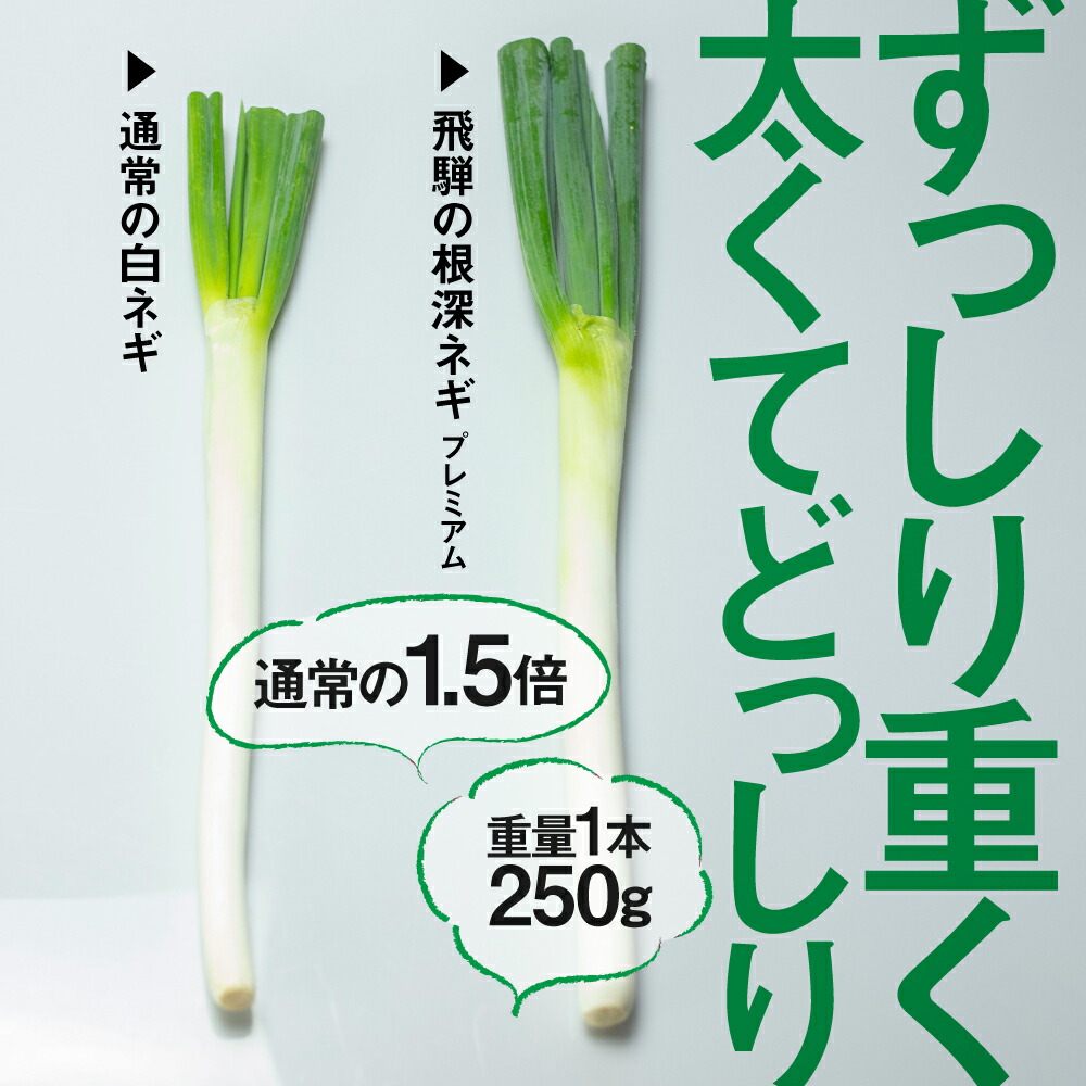 先行予約販売 水村農園 飛騨のごちそうネギ 甘さ柔らかさに感動 10本 プレミアム 旬の野菜 希少品種 旬野菜 秋野菜 冬野菜 岐阜県産 産地直送 産直 農家直送 白ねぎ 白ネギ 飛騨の根深ねぎ Natural Gaz Org 先行予約販売 水村農園 飛騨のごちそうネギ 甘さ柔らかさに感動 10本 プレミアム 旬の野菜 希少品種 旬野菜 秋野菜 冬野菜 岐阜県産 産地直送 産直 農家直送 白ねぎ 白ネギ 飛騨の根深ねぎ Natural Gaz Org