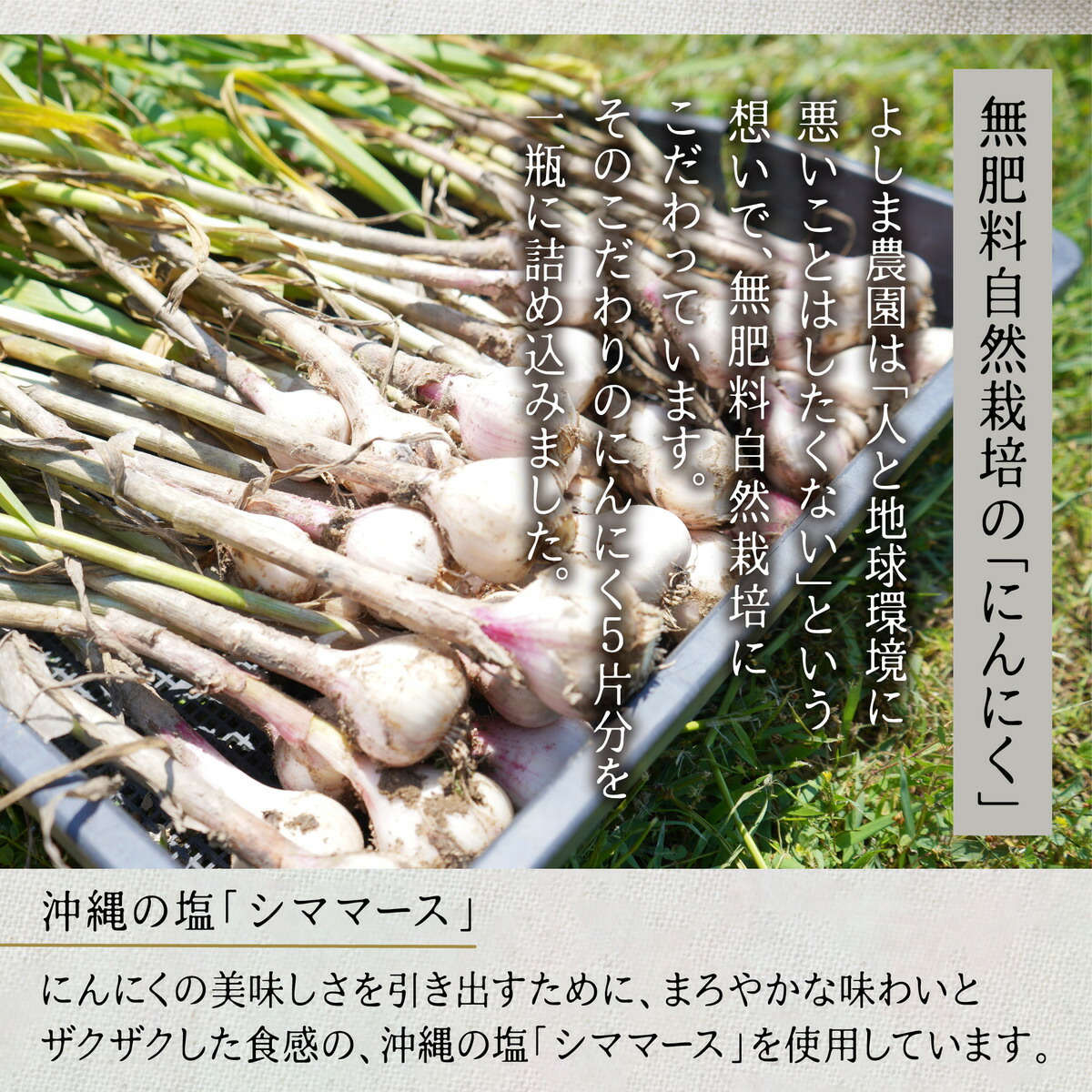 市場 にんにくソルト チップ ガーリック ニンニク ガーリックソルト 無化学調味料 自然栽培 無添加 1本 シママース 40g にんにく