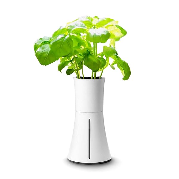 BOTANIUM(ボタニアム) 水耕作りだす一揃いの道具 スモークホワイト