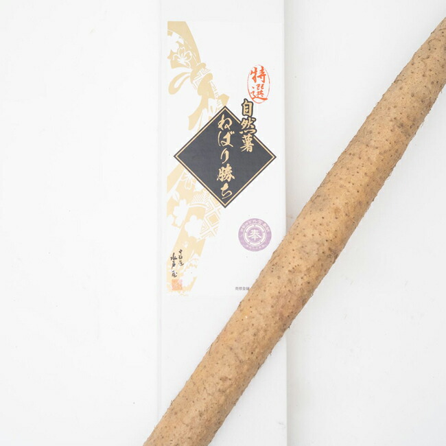 自然薯 水戸屋の自然薯”ねばり勝ち” ギフト プレゼント 御礼 お礼 誕生日 御祝い お祝 贈答品 内祝 岐阜 ぎふ