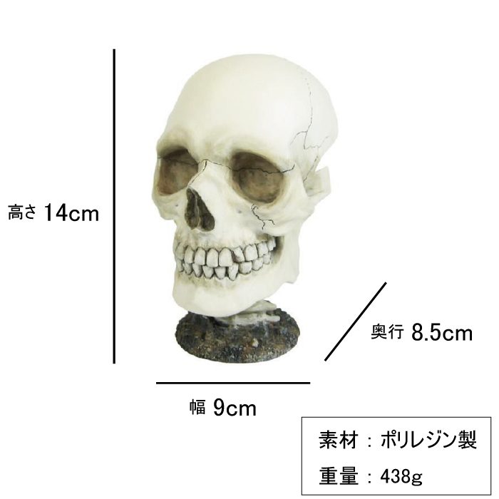 送料無料 メガネスタンド スカルヘッド メガネホルダー サングラス メガネ掛け 卓上 ドクロ ガイコツ インテリア ギフト プレゼント 面白い おもしろ アメリカン雑貨 メーカー直送 Crunchusers Com