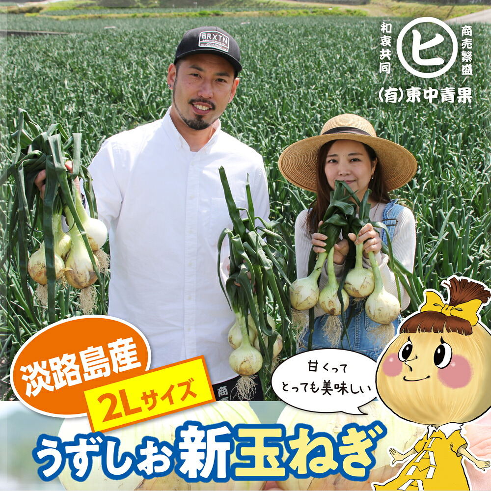 最大17%オフ！新玉発売記念セール！　淡路島産 うずしお新玉ねぎ【2Lサイズ 3kg～20kg】東中青果 うずしおファーム 追熟 玉ねぎ 新鮮 玉葱 タマネギ たまねぎ 甘い 限定品 絶品玉ねぎ ブランド玉ねぎ　ひょうご安心ブランド認証玉ねぎ　JGAP農場栽培玉ねぎ