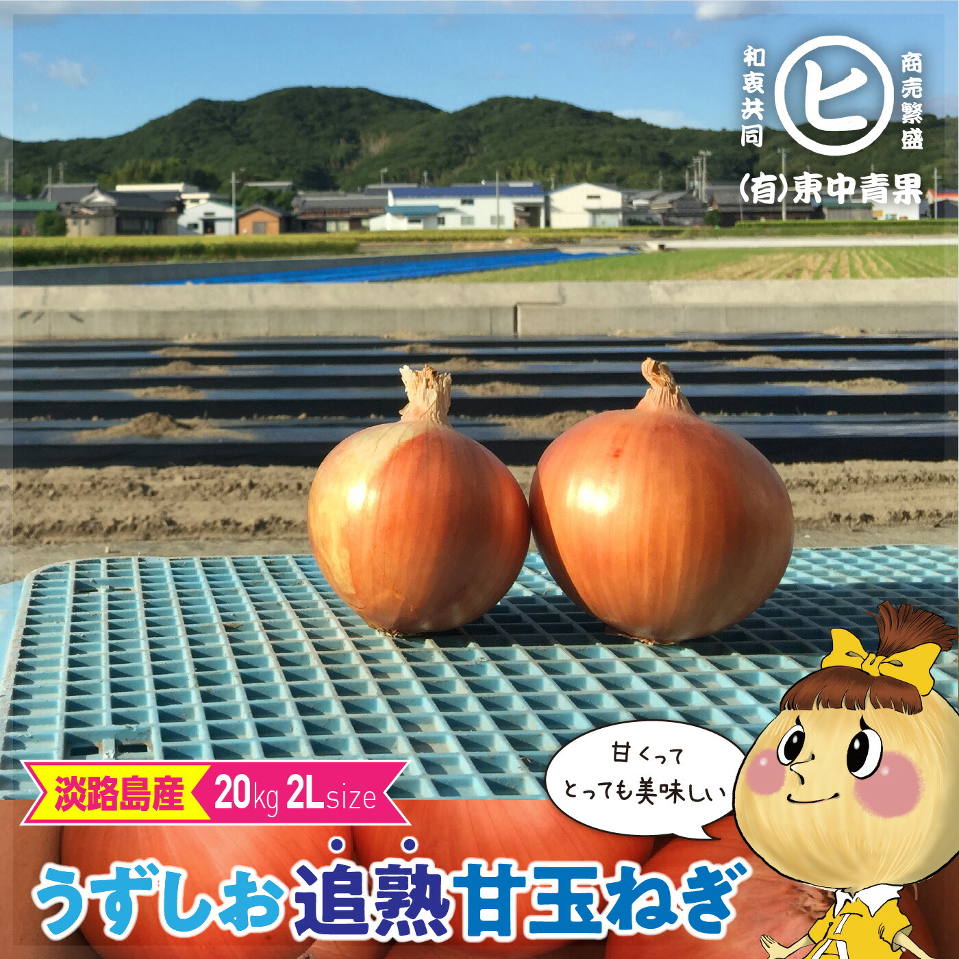 新年 お年玉 値下げ!! ドラムマガジン３冊 tui-2l-20kg.jpg
