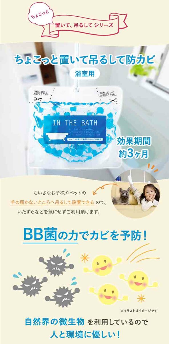 ちょこっと置いて吊るして防カビ浴室用2個組洗面所浴室シャワールームバスルームBB菌化学薬品不使用バイオパワー日本製