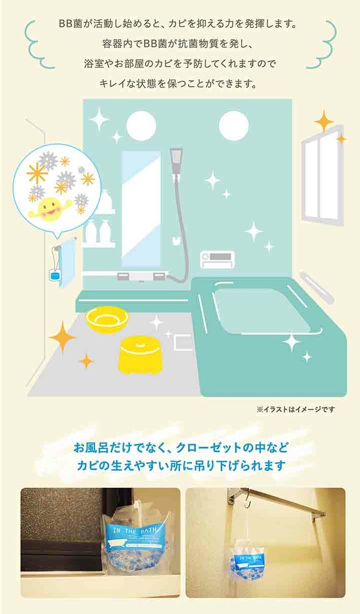 ちょこっと置いて吊るして防カビ浴室用2個組洗面所浴室シャワールームバスルームBB菌化学薬品不使用バイオパワー日本製