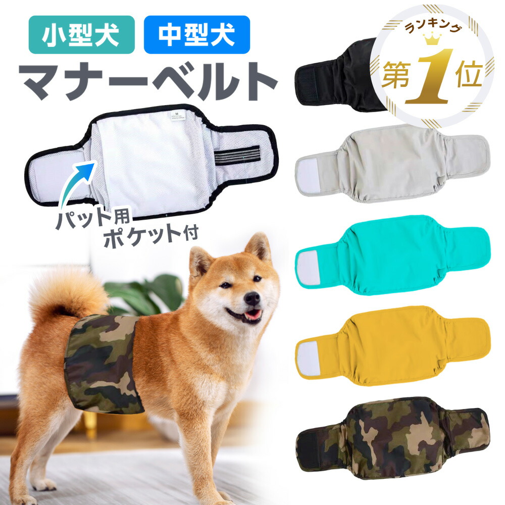 楽天市場】【LINE追加で5%OFF】 犬 マナーベルト ずれない 男の子 オス
