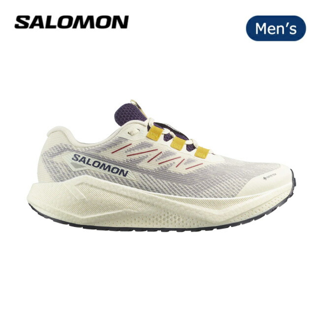 サロモン equipe 3V SL 楽天市場】【限定クーポン配布中！】○SALOMON サロモン AERO BLAZE 3