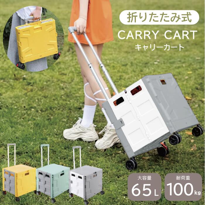 ショッピングキャリーカートDANRAKU  green 楽天市場】ベーシックカラー保冷・保温ショッピングキャリー