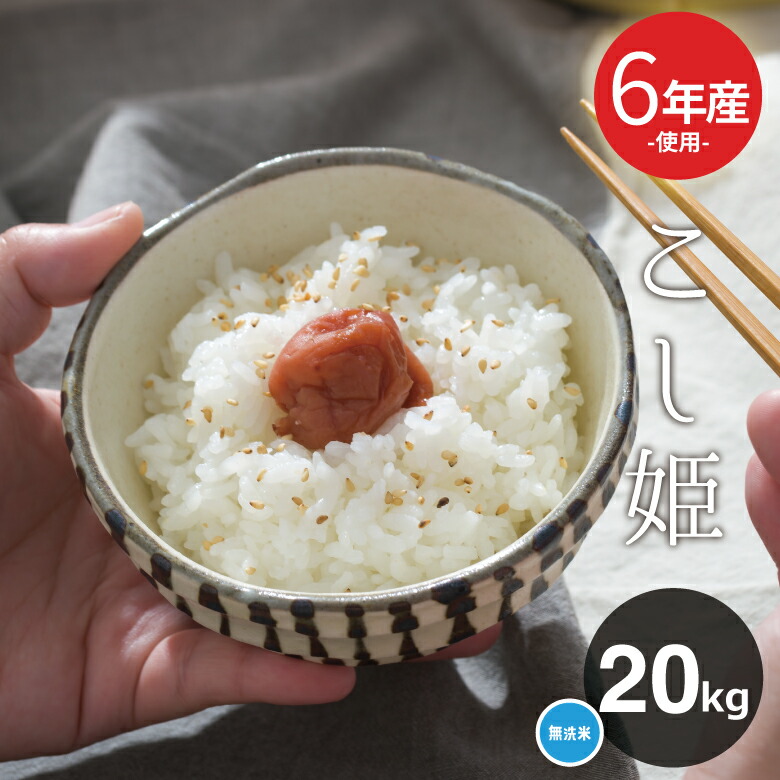 米 お米 20kg 送料無 国産ブレンド米 無洗米 国内産 令和6年産米