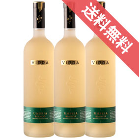 【正規品・取り寄せ品】ヴィプラ ビアンコ 750ml 3本セット Vipra Bianco Umbria IGT ビジ/イタリアワイン/ウンブリア州 オルヴィエート/白ワイン/辛口/ 750ml × 3 【 通販 販売】【まとめ買い 業務用 にも！】【フードライナー】【708】