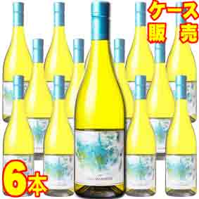 【送料無料】NM　キュヴェ　シャルドネ　ソーヴィニヨン　750ml　6本セット　ケース販売【正規品・取り寄せ品】ナルス マルグライド イタリアワイン/白ワイン/辛口/750ml×6【まとめ買い】【ケース売り】【業務用】