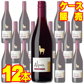 【サンタ・ヘレナ】 アルパカ　シラー 750ml 12本セット・ケース販売 【正規品・取り寄せ品】チリワイン/赤ワイン/ミディアムボディ/中口/ 750ml &times; 12 【アルパカワイン】【チリワイン 12本セット】【Alpaca】【アサヒビール】【業務用】【サンタヘレナ】ＳＨ｜ヒグチワイン Higuchi Wine