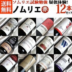 ソムリエ試験の勉強を疑似体験！　 ノムリエさんのための　一歩深い 赤ワイン 代表品種　飲み比べ 12本セット Ver.8 【飲み比べS】【赤ワインセット】【ワインセット 12本】【 750ml × 12 】【テイスティング】【 通販 販売】