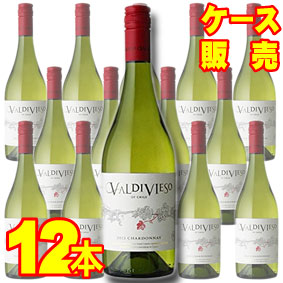 【バルディビエソ】 バルディビエソ　シャルドネ　12本セット・ケース販売 【正規品・取り寄せ品】 チリワイン/白ワイン/辛口/ 750ml × 12 【12本セット】【極旨ワイン】【まとめ買い】【ケース売り】【業務用】【モトックス】