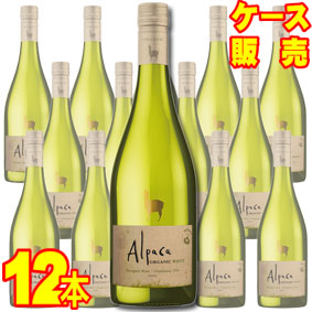 高級感 楽天市場 送料無料 サンタ ヘレナ アルパカ オーガニック ホワイト 12本セット ケース販売 チリワイン 白ワイン 辛口 Dry 750ml 12 アルパカワイン サンタヘレナ チリワイン12本セット オーガニック Alpaca ケース売り 業務用