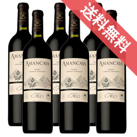 【正規品・取り寄せ品】アマンカヤ 750ml 6本セットAMANCAYA ボデガス カロ/アルゼンチンワイン/メンドーサ/赤ワイン/ミディアムボディ/中口/ 750ml × 6 /ファインズ/サントリー【 通販 販売】【まとめ買い 業務用 にも! 】|ヒグチワイン Higuchi Wine