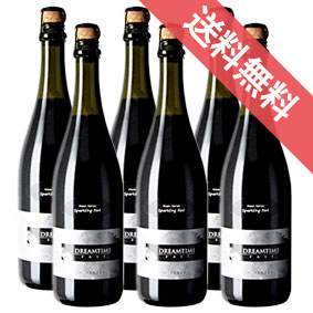 【正規品・取り寄せ品】ドリームタイム・パス　スパークリング・レッド (シラーズ) 750ml 6本セット ドリームタイム パス/オーストラリア/サウス・イースタン・オーストラリア/スパークリングワイン/辛口/ 750ml &times; 6 /ヴィレッジ・セラーズ 【まとめ買い】｜ヒグチワイン Higuchi Wine