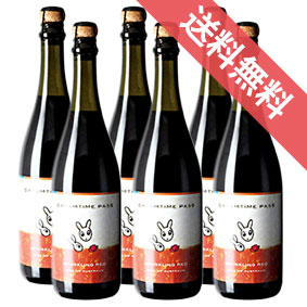【正規品・取り寄せ品】ドリームタイム・パス　カンガルーラベル・スパークリング・レッド (シラーズ) 750ml 6本セット ドリームタイム パス/オーストラリア/サウス・イースタン・オーストラリア/スパークリングワイン/辛口/ 750ml × 6 /ヴィレッジ・セラーズ