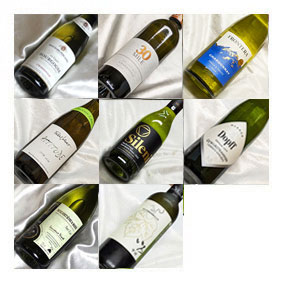 ソムリエ試験 対策　白ワイン 5品種　 ハーフボトル 一歩深い飲み比べ8本セット Ver.10　 飲みきりサイズ 【375ml×8】【ハーフワインセット】【テイスティング】【ハーフサイズ】【 通販 販売】