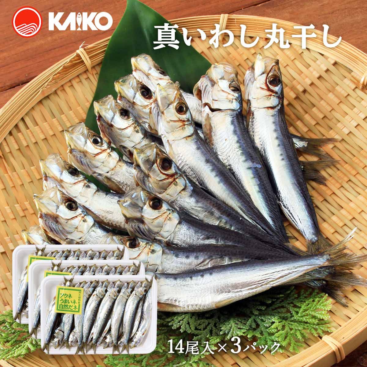 いわし d_sardin03_02.jpg