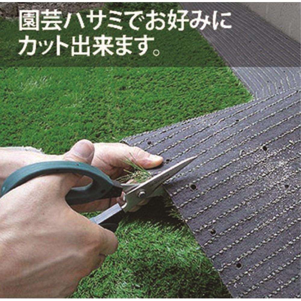 楽天市場】組立らくらくタープ 130×190cm DCM DCM タープ テント