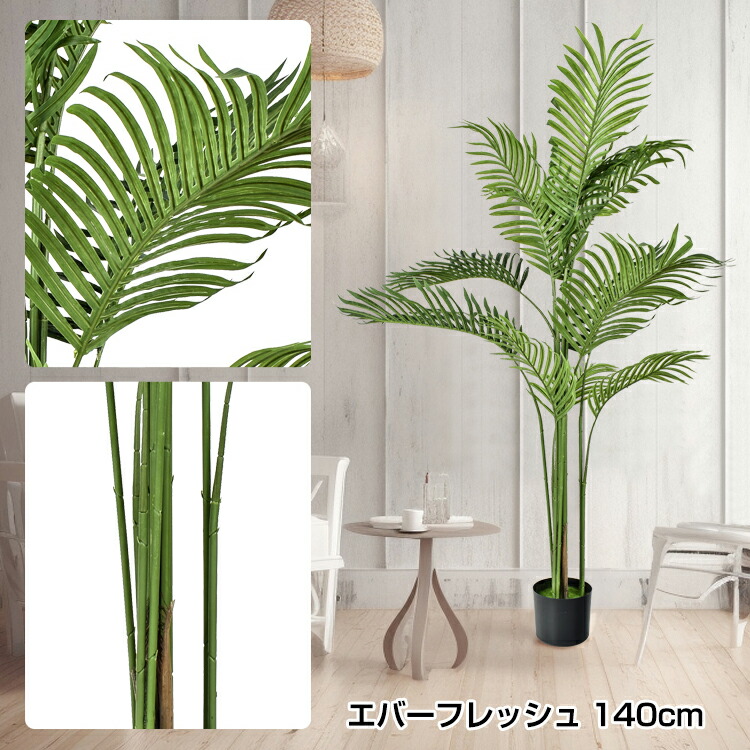 楽天市場】人工観葉植物 エバーフレッシュ 70cm アカサヤネムノキ