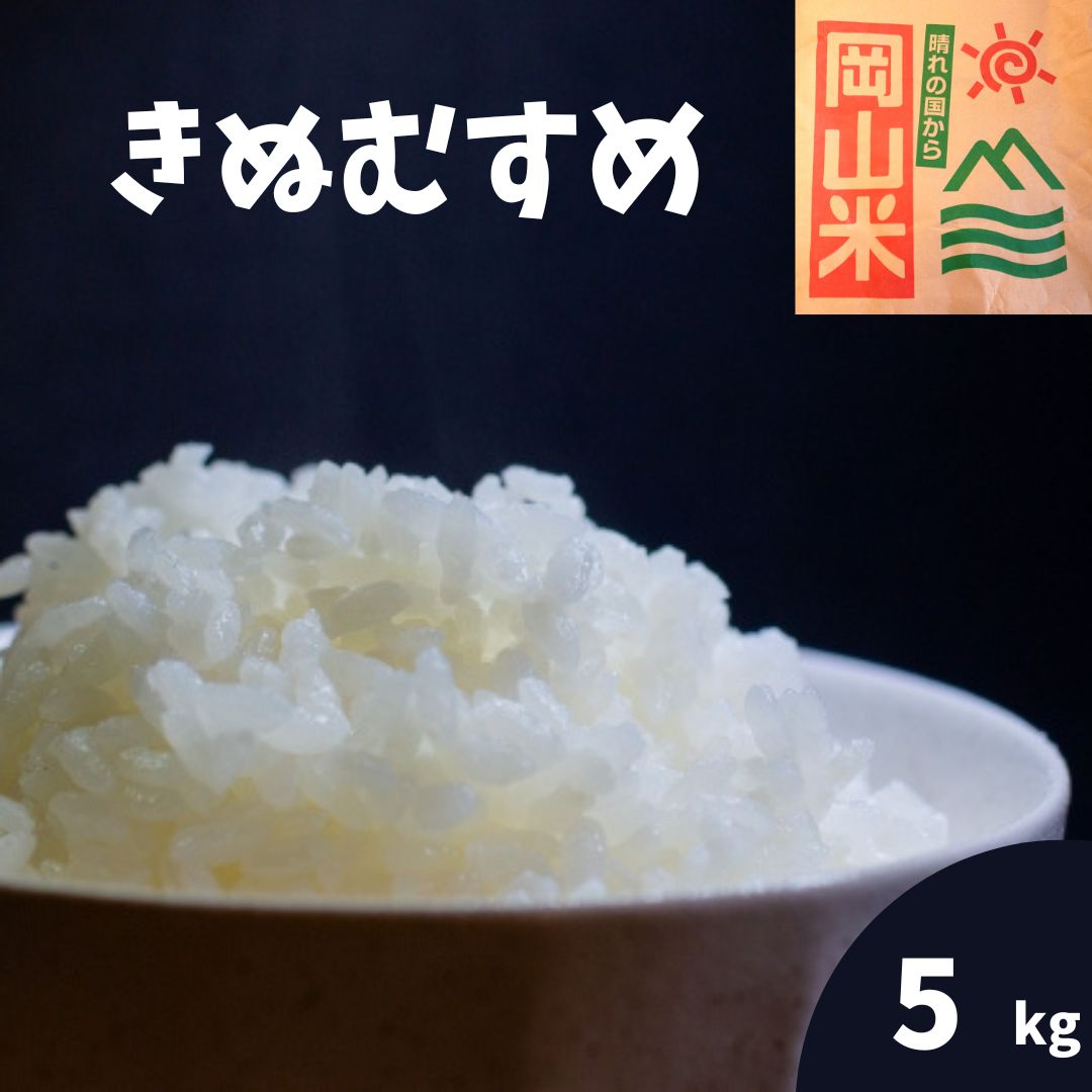 楽天市場】【新米】米 10kg 送料無料 きぬむすめ 特A 岡山県産 令和5