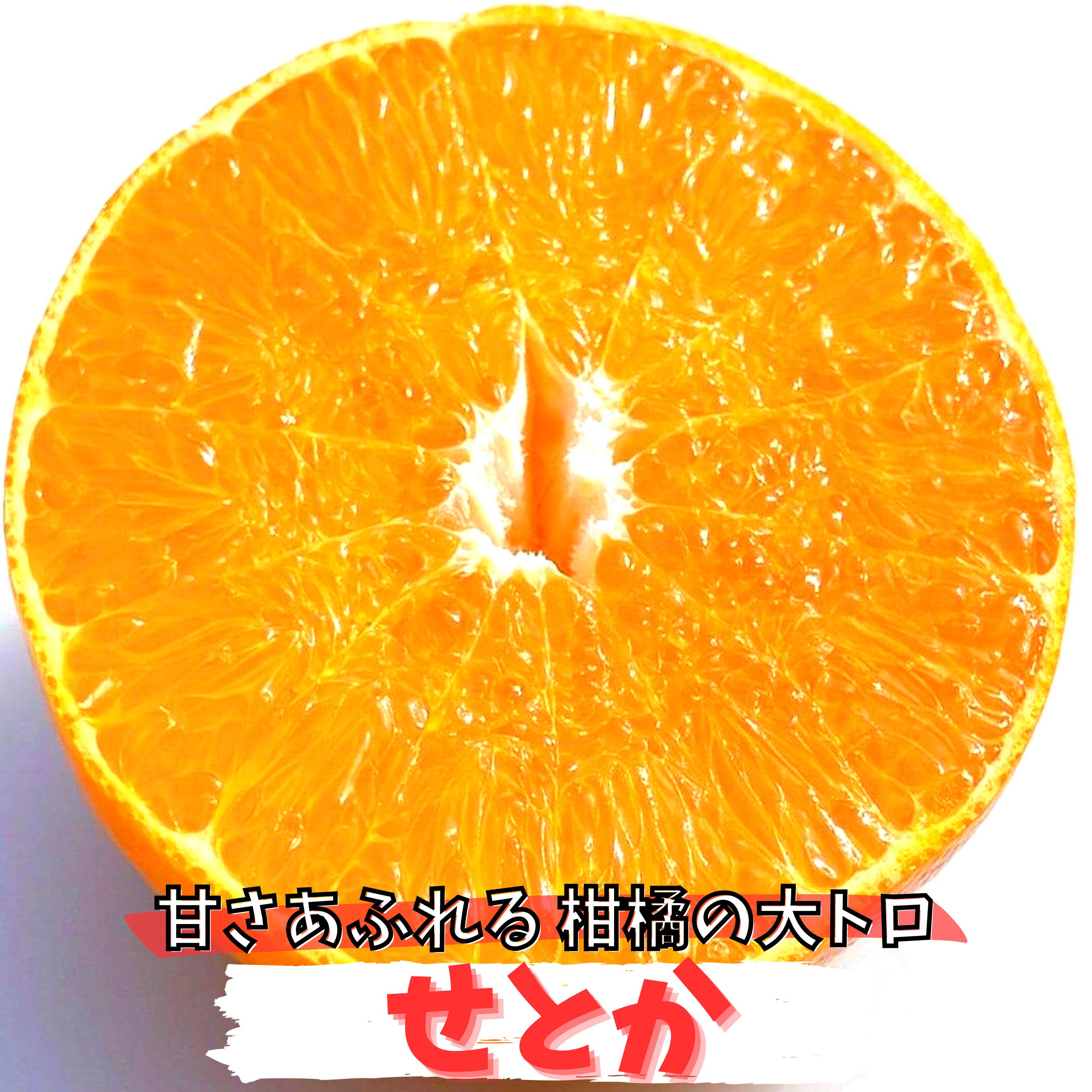 楽天市場】【先行予約】せとか 5kg 訳あり 家庭用 愛媛県 送料無料