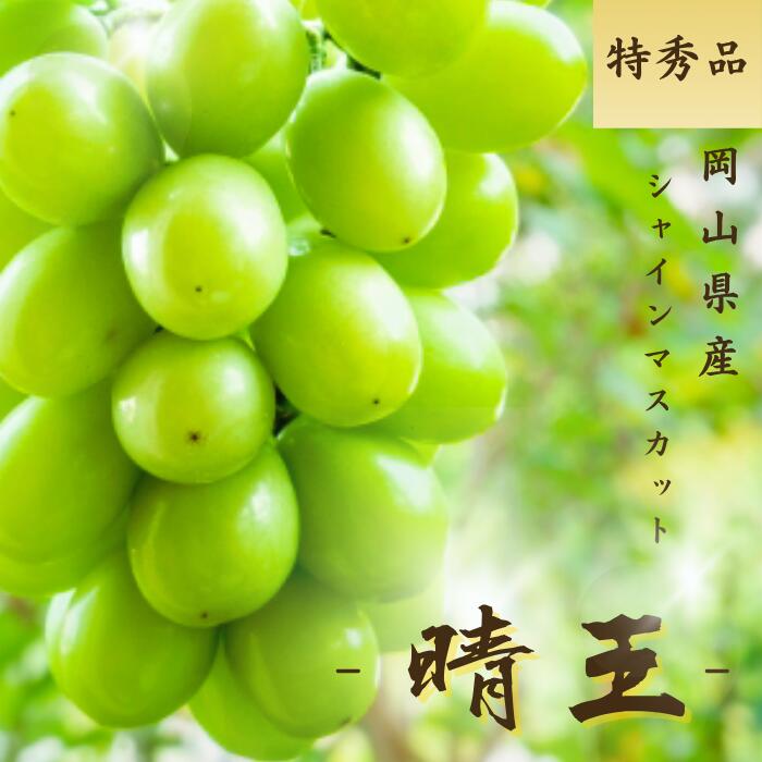 めめっこ　特秀品　岡山県産　シャインマスカット晴王2房入2箱と1房セット お中元 ぶどう シャインマスカット 晴王 赤秀 600g×2房 岡山県産