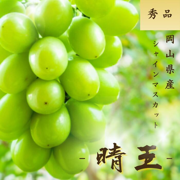楽天市場】【先行予約】シャインマスカット 晴王 岡山県産 訳