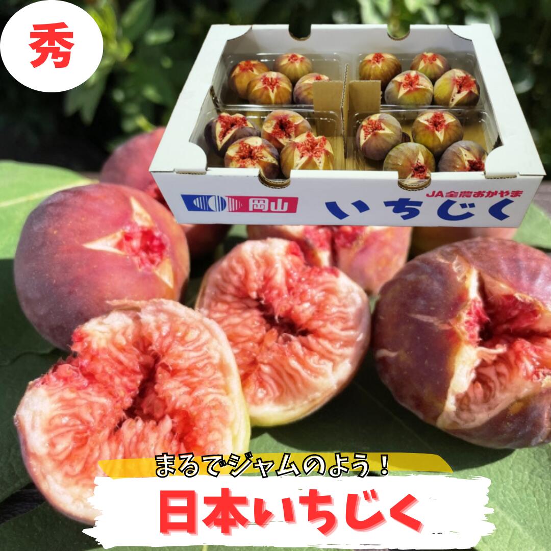 【先行予約】いちじく 日本いちじく 送料無料 岡山県産 白いちじく 無花果 日本イチジク 唐柿 高糖度 ジューシー  お取り寄せ ギフト 贈答用 プレゼント 内祝い ご褒美 お中元 敬老の日　　  日本いちじく
