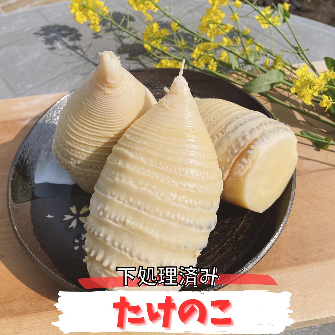 【エントリーで P10倍】たけのこ 筍 水煮 国産 1kg 1.5kg 2kg 下処理済 ボイル済 下茹で 岡山県産 春 ごはん ご飯 タケノコ チルド 送料無料 食品 野菜　　　　　　たけのこ水煮