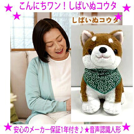 ★柴犬コウタ しば秘密捜査員コウタ こんにち一！バンダナ付き添い人書き割り★トントンして話しかける飾り気のない取りまわしで御辞儀やお返事をするする声音意識することぬいぐるみです♪★テレビ受像機で引き合わせるされ話頭に！一人暮らしの老いらく者・愛玩動物天使の都市に癒し成り行き威風堂々たる貨物輸送無料
