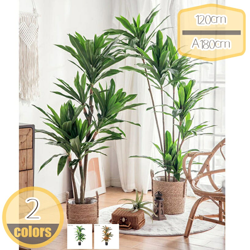 500円OFFクーポン 人工観葉植物 ドラセナ 人工観葉樹 水やり不要 枯れない 害虫が発生しない 造花 インテリア フェイクグリーン 癒し 植木 お祝い ギフト プレゼント 開店祝い 新築祝い 誕生日祝い 結婚祝い おしゃれ 大型 人工樹木 hikari-plus 6,979円