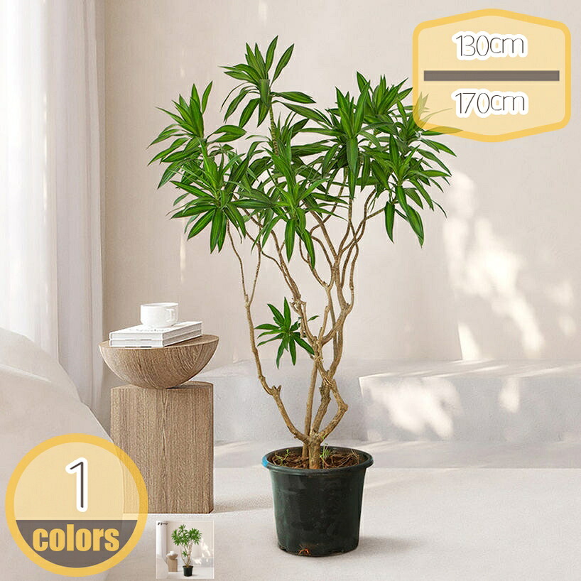 大型 フェイクグリーン 人工観葉植物 フェイクツリー 観葉植物フェイク カフェ 事務所 玄関先 リビング ベッドルーム 鉢植え 大きい 大きめ お洒落 本物そっくり 装飾 家具 おしゃれ お祝い プレゼント ギフト 会議室 hikari-plus