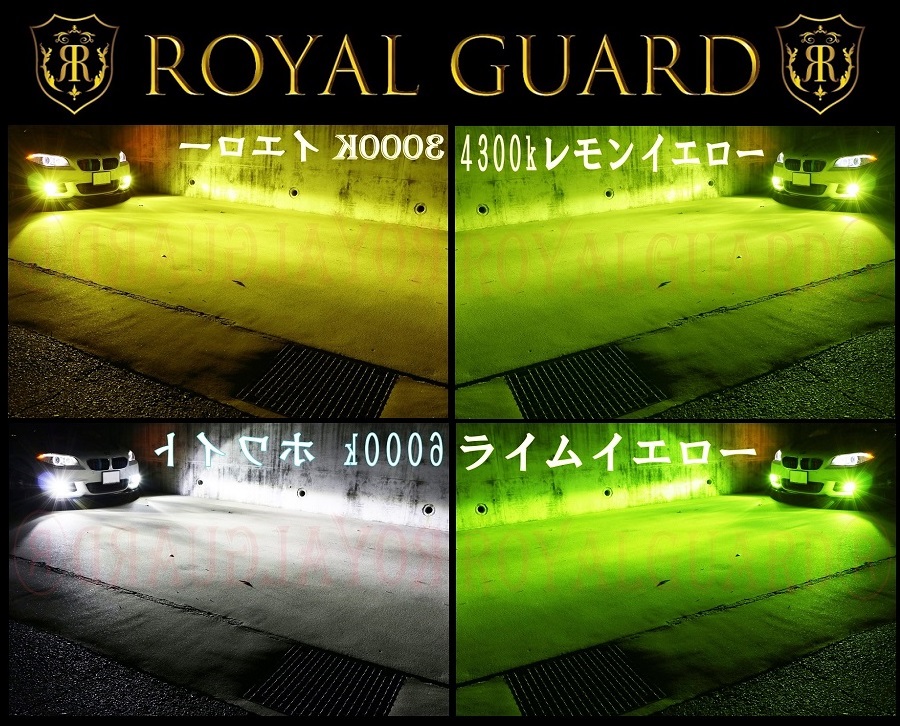 ROYAL GUARDのフォグランプ - 車外アクセサリー