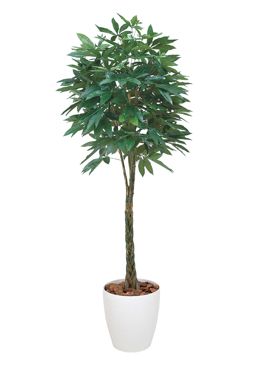 激安 光触媒 人工観葉植物 光の楽園 パキラ honda.attanslot.cz
