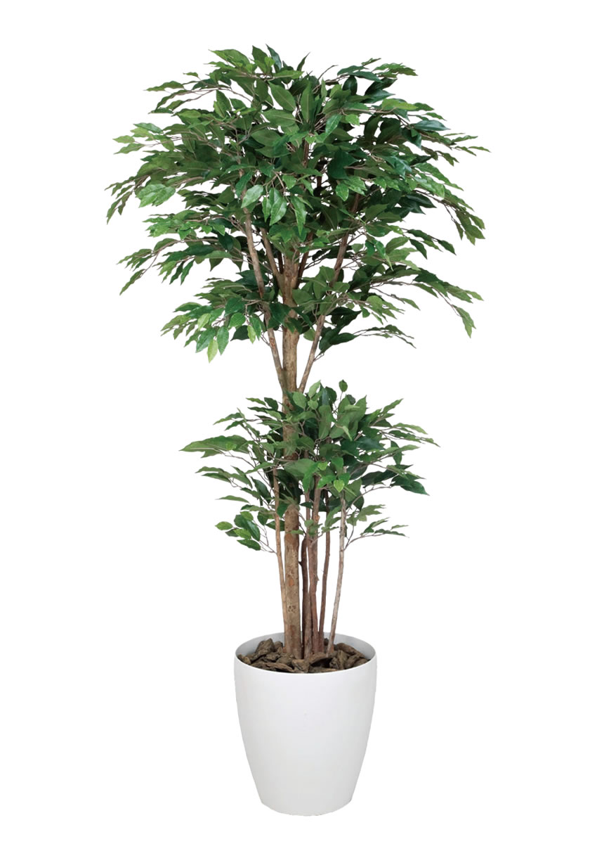 光触媒 人工観葉植物光の楽園 オリーブツリー 高さ 1.65mインテリア フェイクグリーン 花と観葉植物の専門店 光の楽園