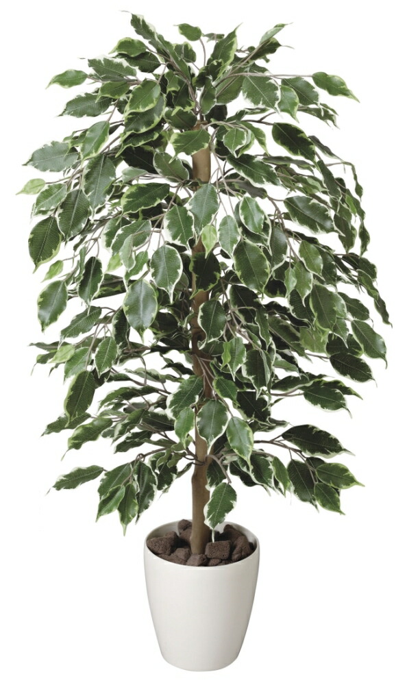 光触媒　人工観葉植物　ウォールグリーン　フェイクグリーン　タイワンモミジ1.3 タイワンモミジ1.3 2420A230」アートクリエイションのフェイク