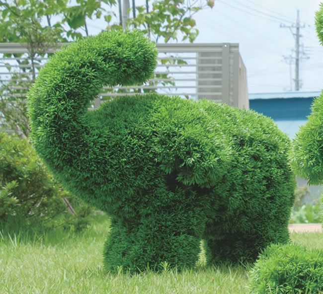 灯し火の天国 ゾウ 光触媒生産なし 庭続き物 ガーデニング トピアリー Ohanaco Com