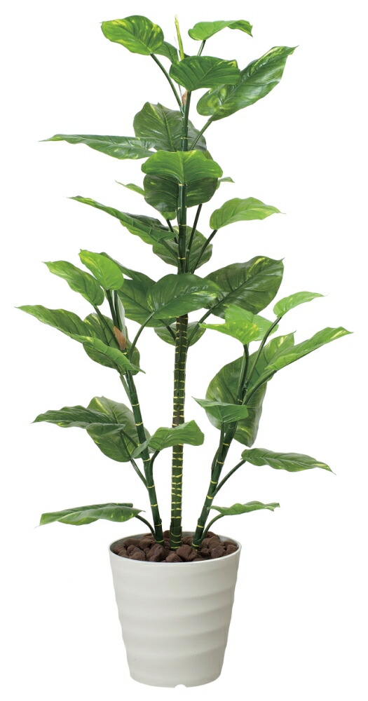 フェイクグリーン 観葉植物 花と観葉植物の専門店 花 観葉植物 光の楽園 人工観葉植物 光触媒 光の楽園フレッシュポトス1 5m 新築祝い 開店祝い 誕生日などのギフトに 玄関やリビングのインテリアにお手入れいらずの光の楽園 フェイクグリーン 観葉植物 花と観葉植物の専門店 花 観葉植物 光の楽園 人工観葉植物 光触媒 光の楽園フレッシュポトス1 5m 新築祝い 開店祝い 誕生日などのギフトに 玄関やリビングのインテリアにお手入れいらずの光の楽園