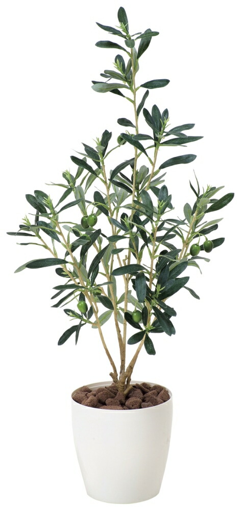 楽天市場 光触媒 人工観葉植物光の楽園 オリーブ 高さ73cm フェイクグリーン 観葉植物 インテリア おしゃれ 花と観葉植物の専門店 光の楽園 楽天市場 光触媒 人工観葉植物光の楽園 オリーブ 高さ73cm フェイクグリーン 観葉植物 インテリア おしゃれ 花と観葉植物の専門店 光の楽園