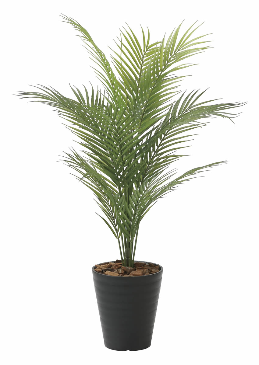 楽天市場】光触媒 光の楽園 フレッシュマネーツリー 90 フェイク