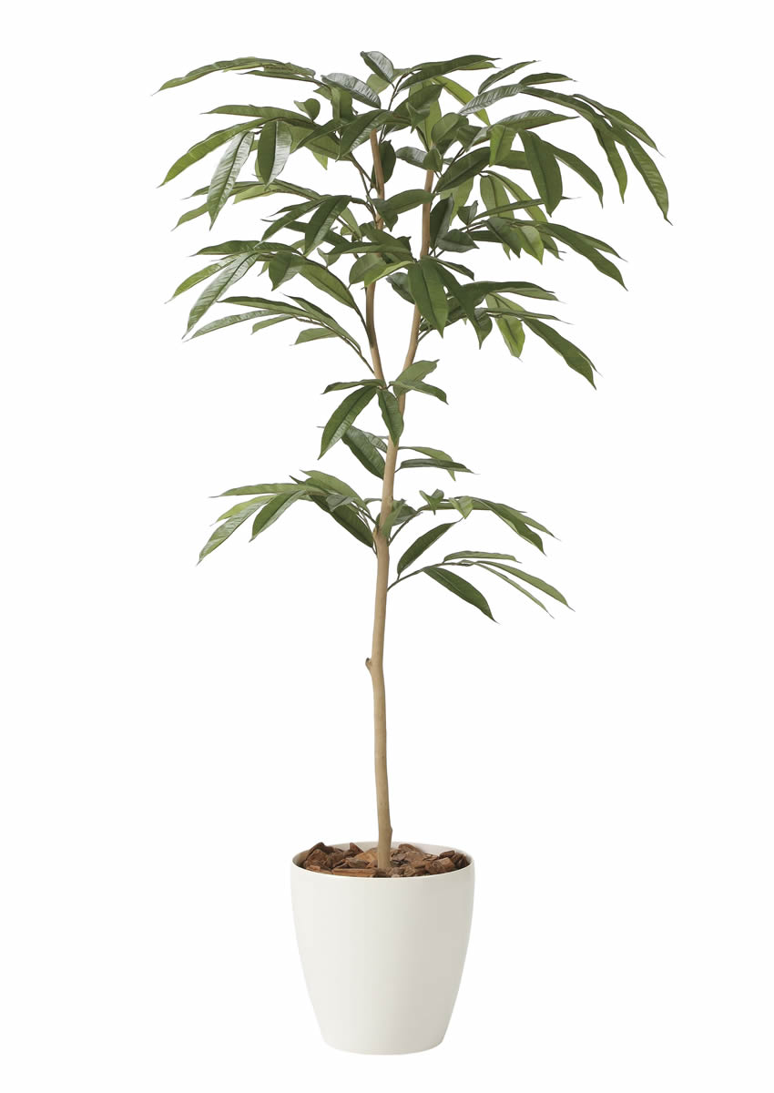 楽天市場】光の楽園 アムステルラバーキング1．6 2249A300 アート