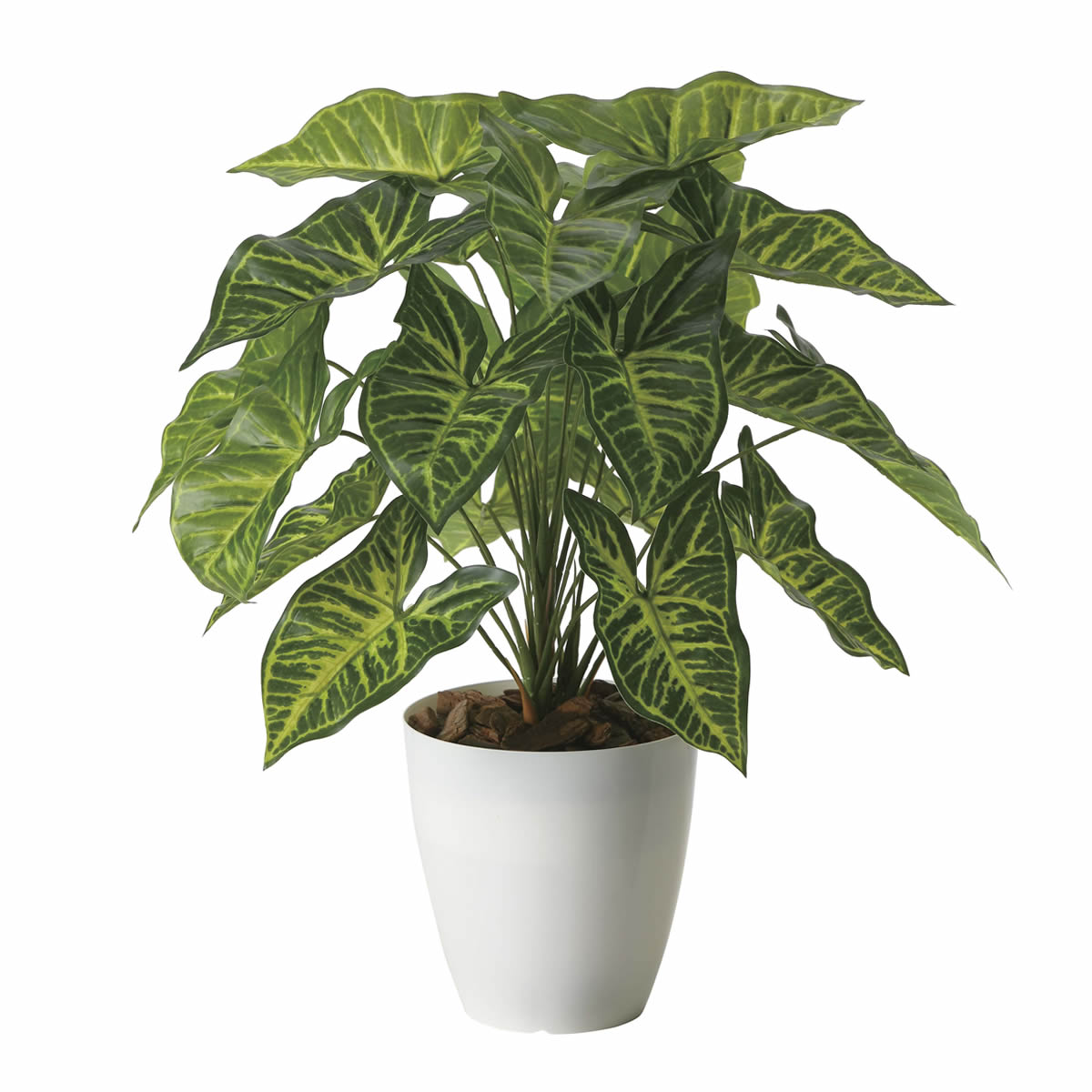 光触媒 光の楽園 シンゴニウム【インテリアグリーン 人工観葉植物】(2255A60)
